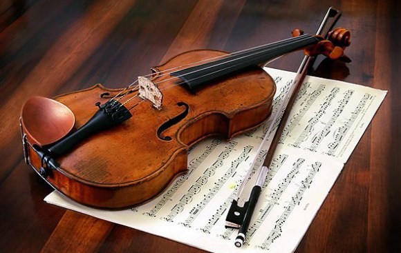 Violin